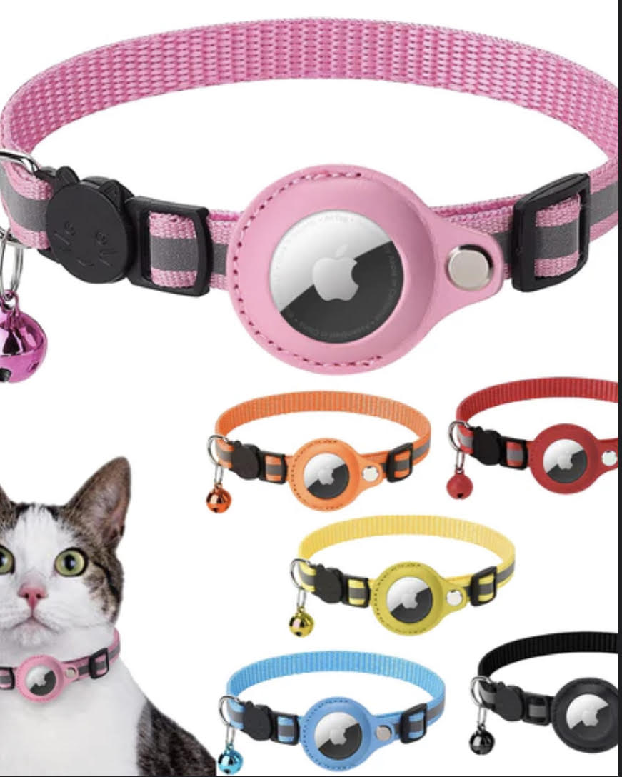 Cat Essentials