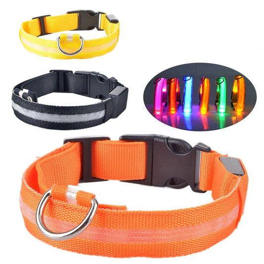 LED Dog Collar