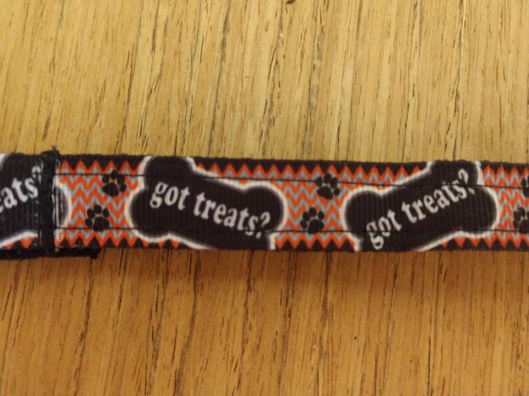 Small Dog Collar and Leash Combo or Collar, Got Treats? Pattern