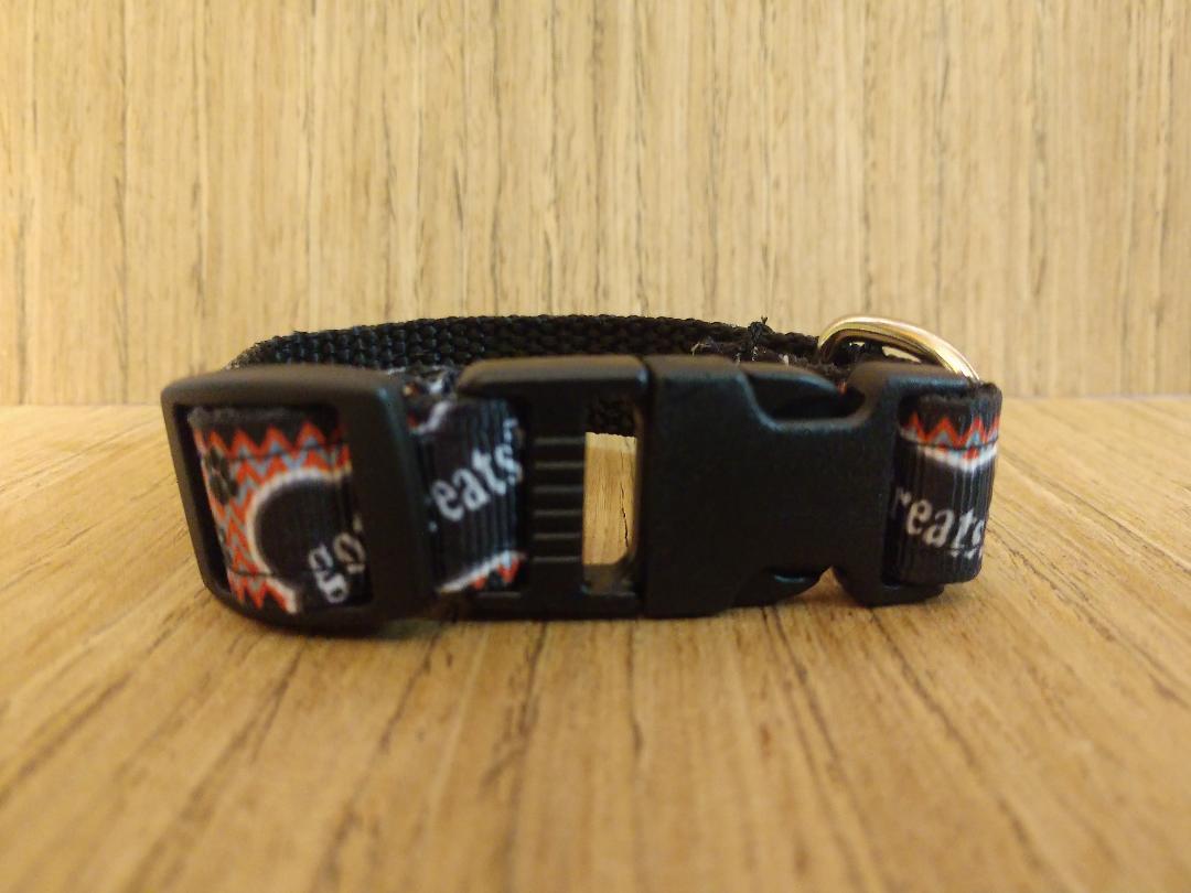 Small Dog Collar and Leash Combo or Collar, Got Treats? Pattern