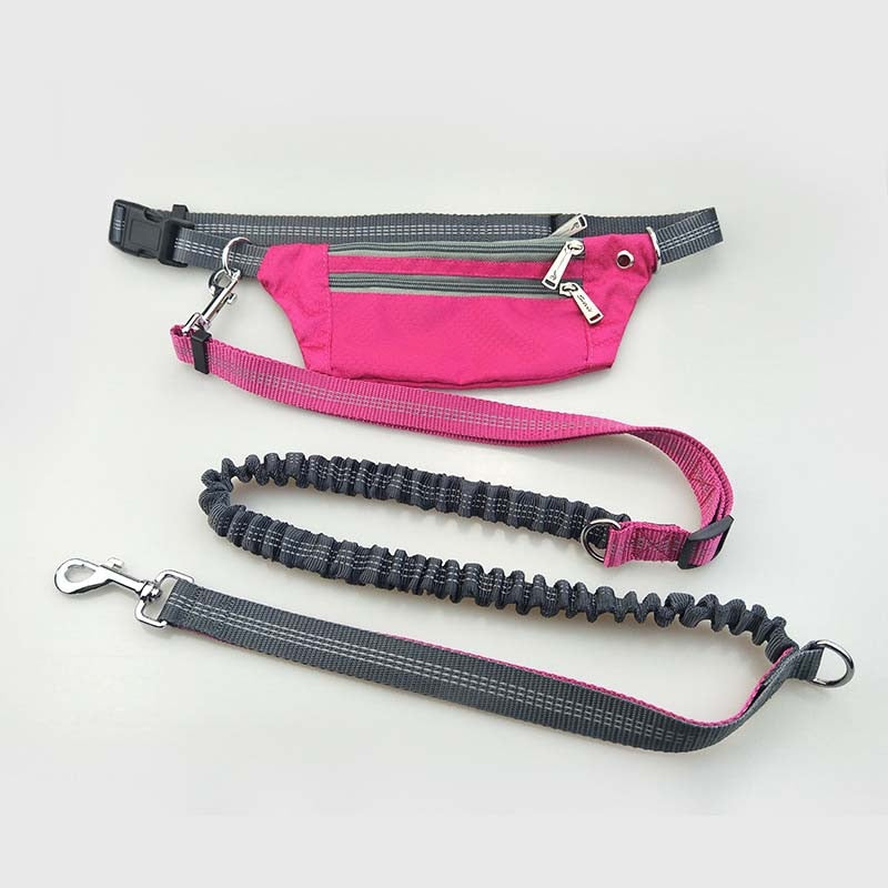 Elastic Hands-Free Dog Leash & Caring Pouch