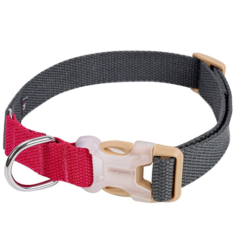 Dog Harness And Leash Nylon Leashs