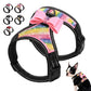 Fashion Dog Harness