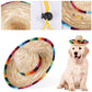 Fashion Pet Woven Straw Hat