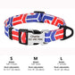 Personalized Pet Collar Nylon