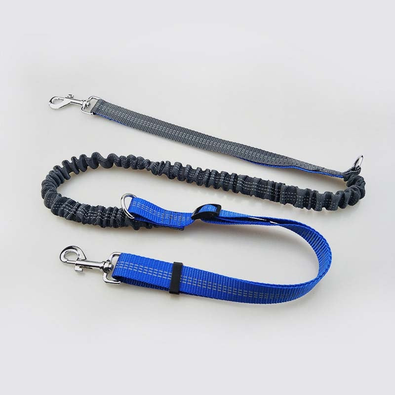 Elastic Hands-Free Dog Leash & Caring Pouch