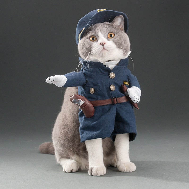 Cat and Small Dog Cosplay Costume