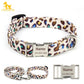 Personalized Dog Collar and Matching Leash