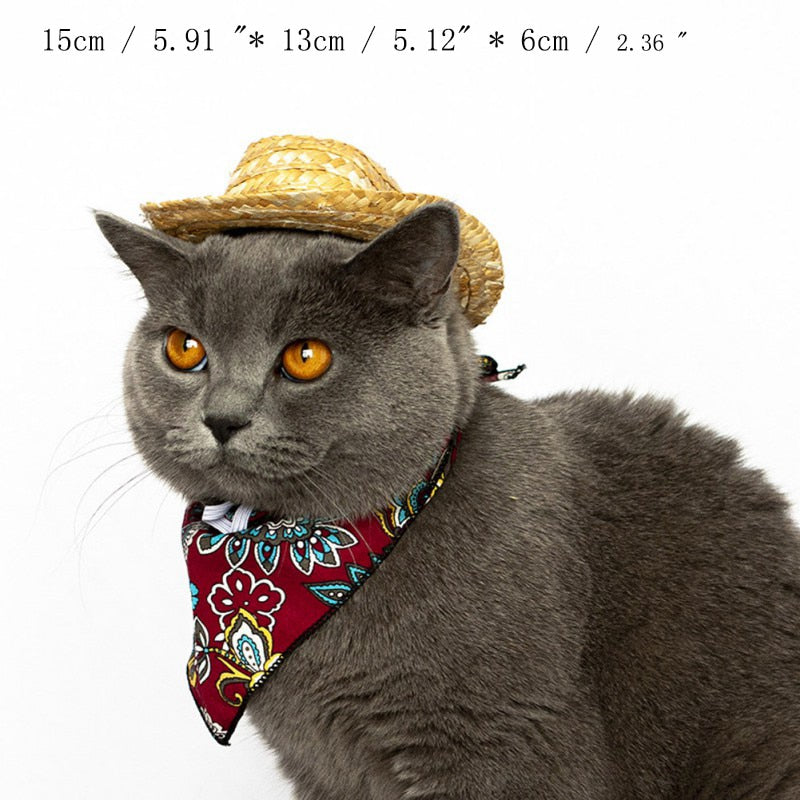 Fashion Pet Woven Straw Hat