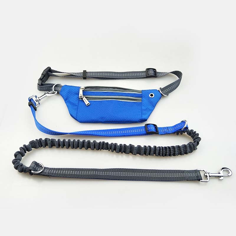 Elastic Hands-Free Dog Leash & Caring Pouch