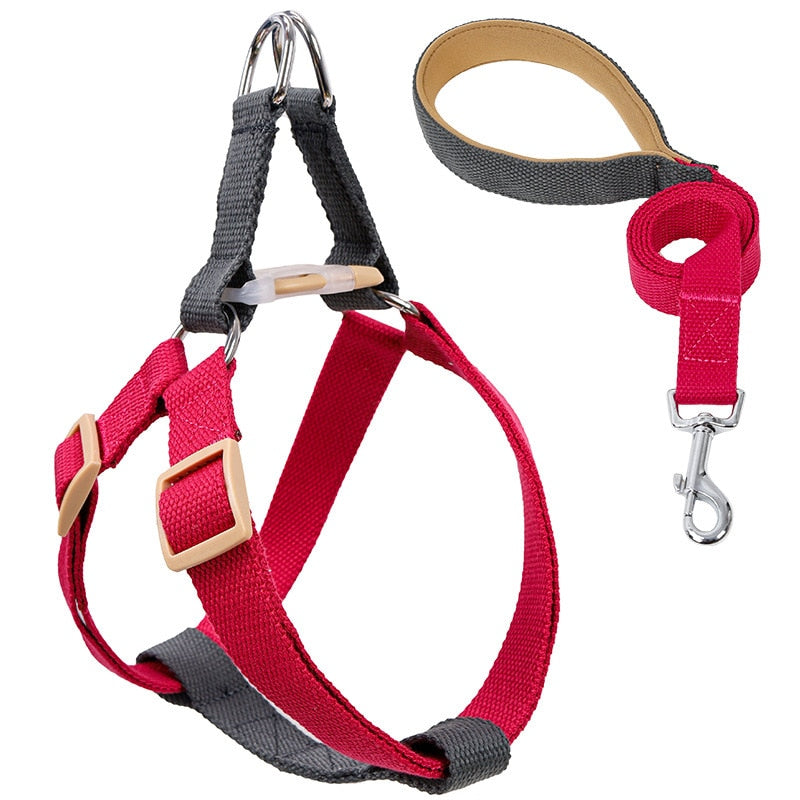 Dog Harness And Leash Nylon Leashs