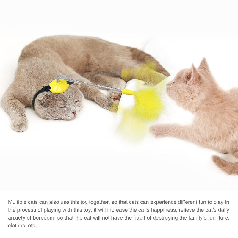 Interactive Feather Cat Collar Toy