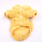 Winter Pet Puppy Fleece
