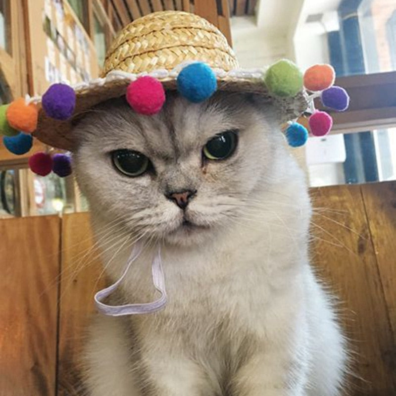 Fashion Pet Woven Straw Hat