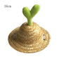 Fashion Pet Woven Straw Hat