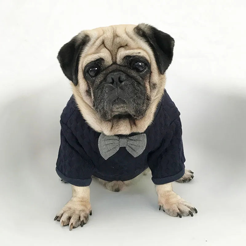 Fashion Dog Coat Bow Tie