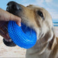 Bite-Proof Squeak Chew Toy