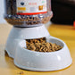 Pet Waterer and Feeder