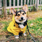 SUPERPET Windproof Dog Raincoat