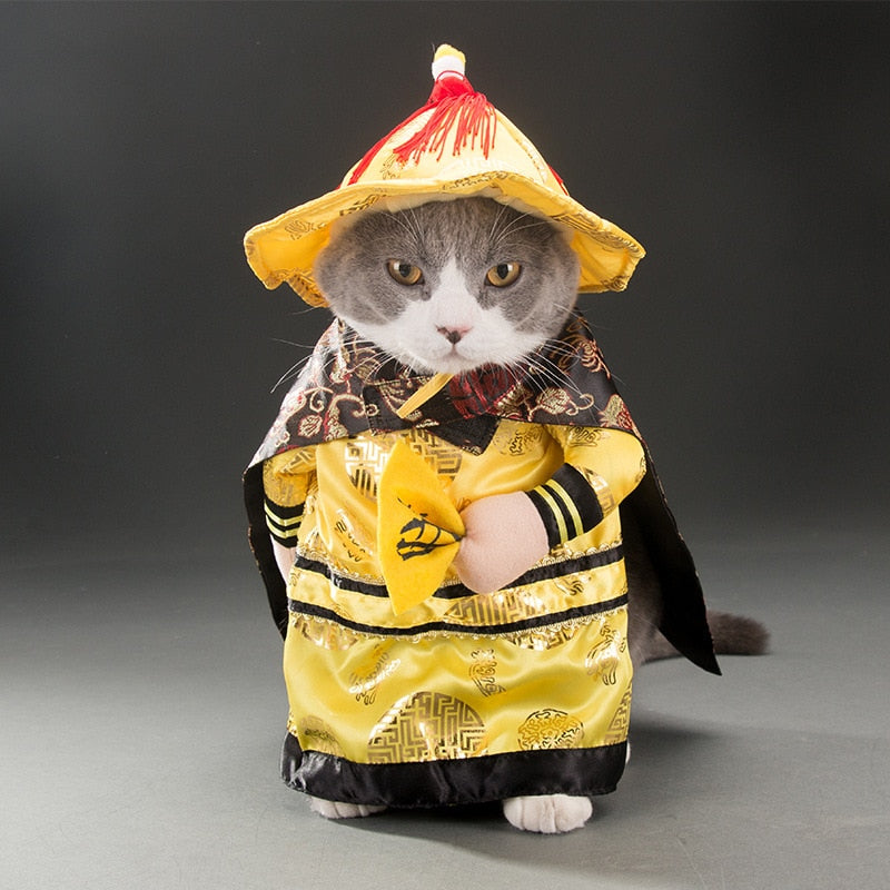 Cat and Small Dog Cosplay Costume