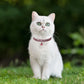 Paw Rhinestone Dog Collar