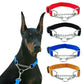 Martingal Dog Collar with Welded Link Chain for Large Dogs