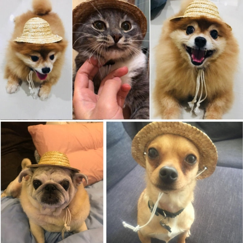 Fashion Pet Woven Straw Hat