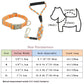 Nylon Dog Collars Leashes Adjustable S-XL