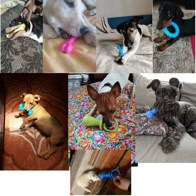 Pet Chew SqueakyToys