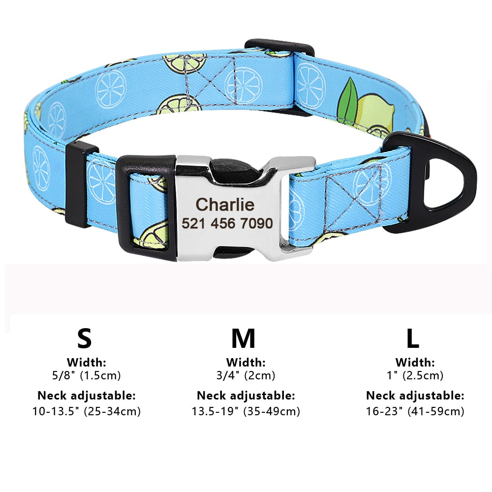 Personalized Pet Collar Nylon