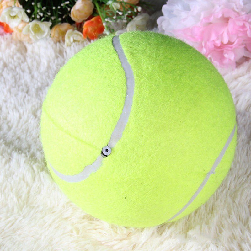 24cm Fun Giant Tennis Ball For Dogs