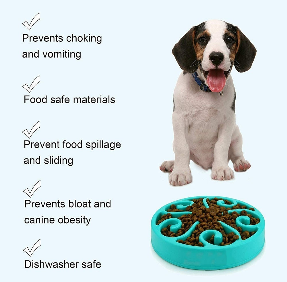 Nontoxic Fun Slow Feeder Dog Bowl