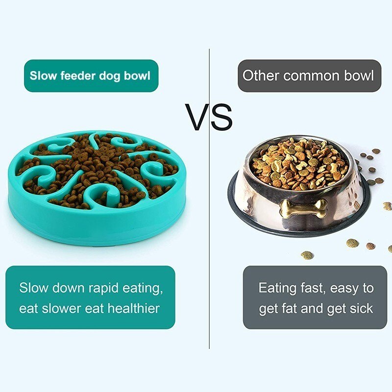 Nontoxic Fun Slow Feeder Dog Bowl