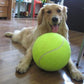 24cm Fun Giant Tennis Ball For Dogs