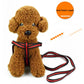 Elastic Pet Leash, Anti Dash Pull Lead