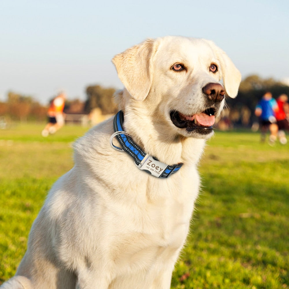 Personalized Dog Collar Reflective