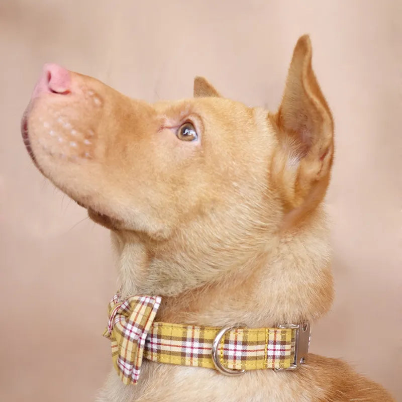 MUTTCO Collection THE LEMON PLAID Bow Tie Collar And Leash Set