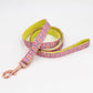 Queen Print Pet Collar and Leash with Bow Tie