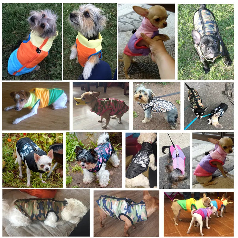 Windproof Pet Jacket, Winter Vest with Pattern