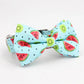 Watermelon Dog Collar Bow Tie with Metal Buckle