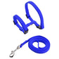 Cat or Small Dog Harness & Leash Set