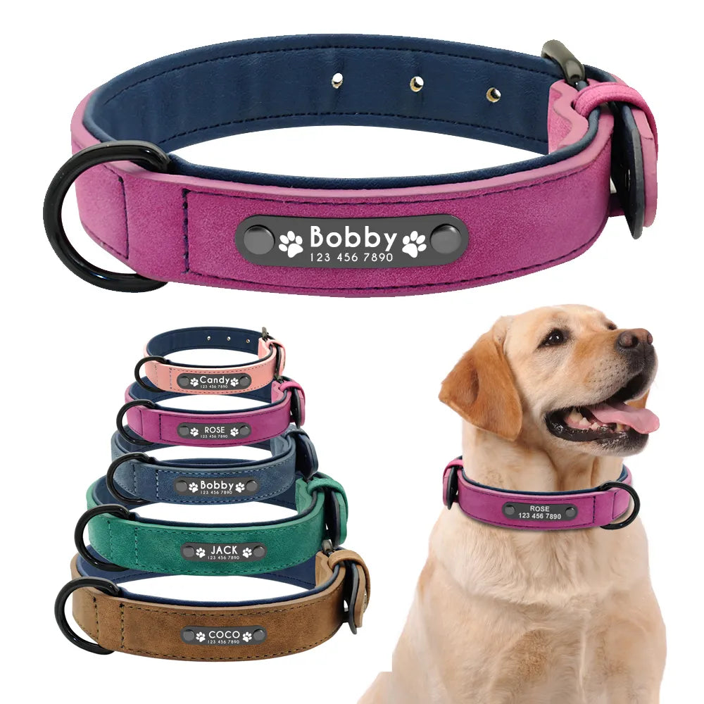 Personalized Dog Collar