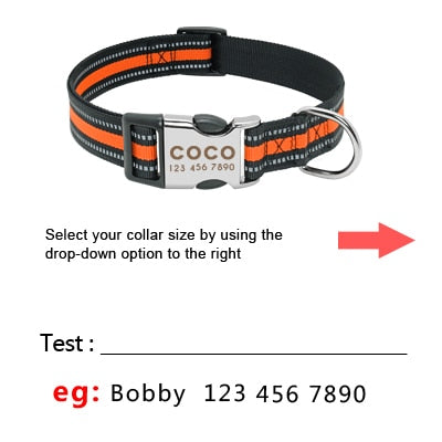 Personalized Dog Collar Reflective