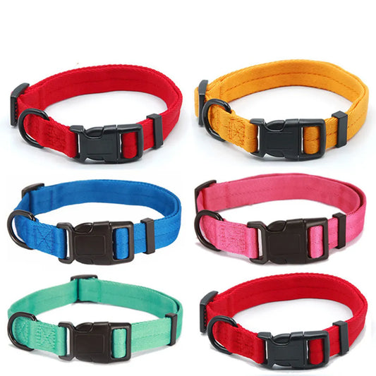 Dog Collars