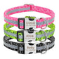 Dog Collar Personalized & Reflective With Engraved Name Tag