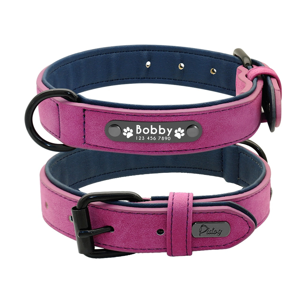 Personalized Dog Collar and Leash Leather