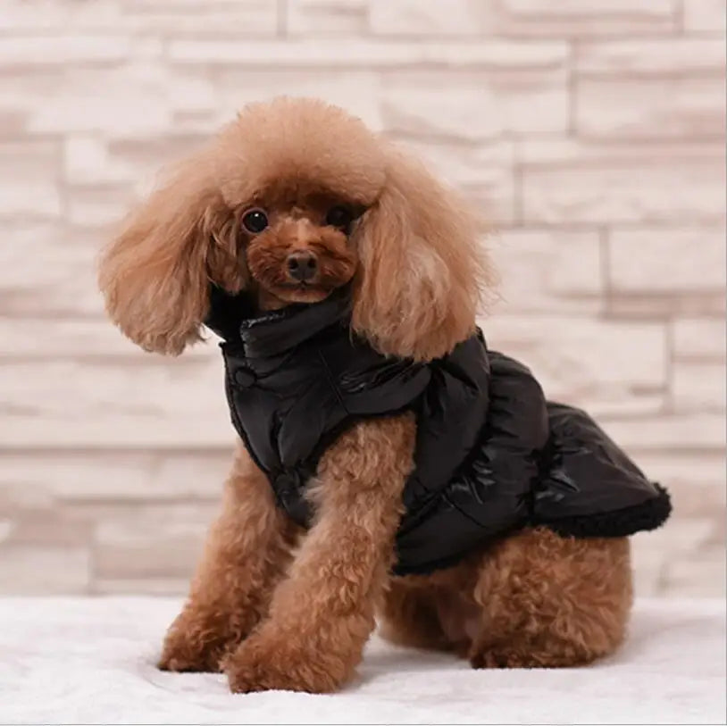 Warm Windproof Vest for Pets