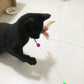 1pc Cat Toy