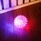 Pet Flashing Light Up Spikey Ball Toy