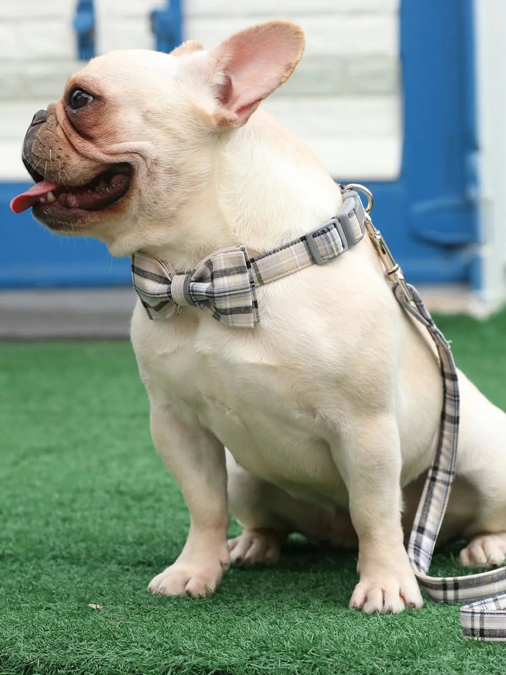 White Plaid Cotton Dog Collar with Bow Tie and Leash Set Plastic Buckle Dog & Cat